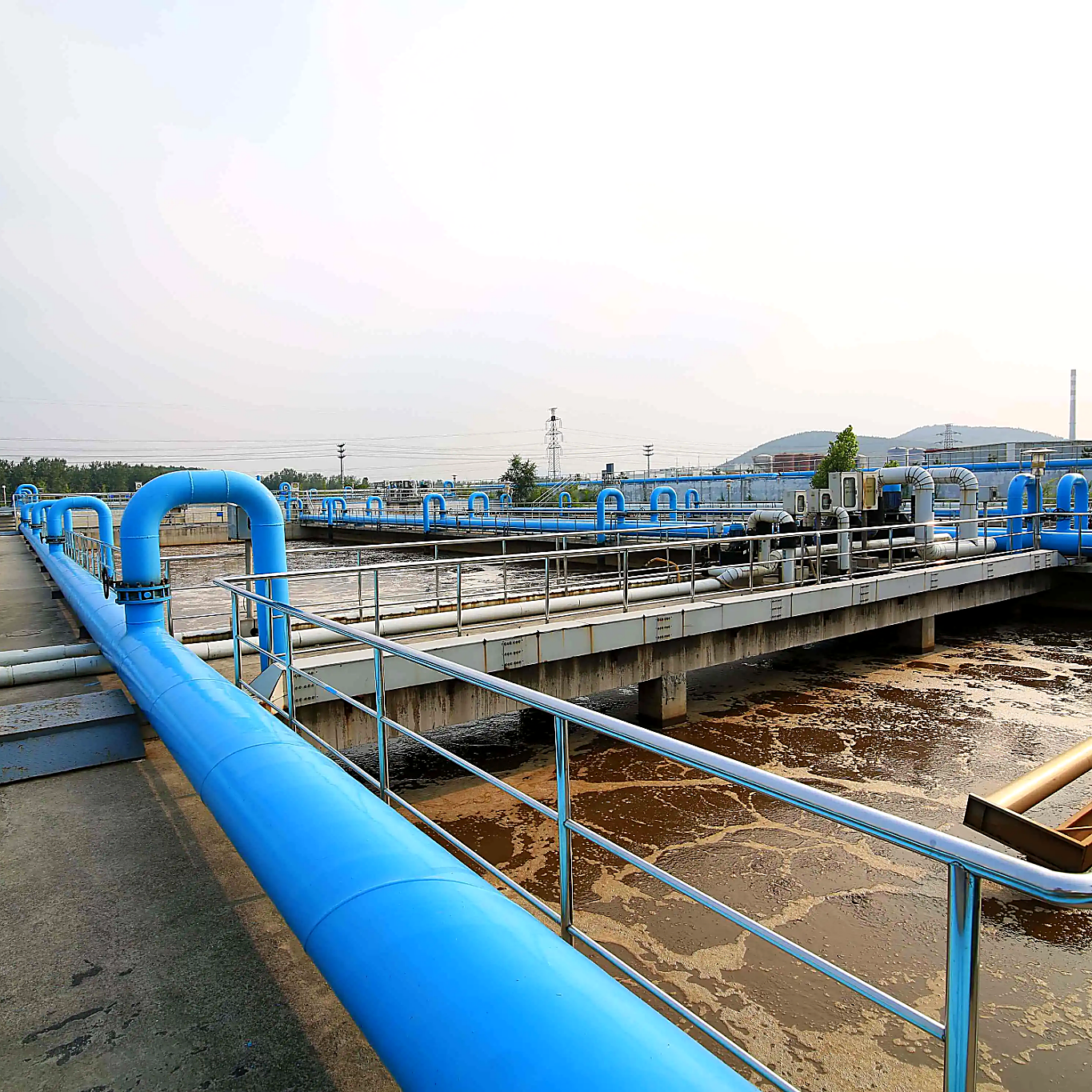 Municipal Sewage Sludge
